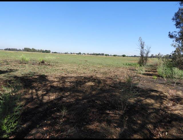 115,300M² VACANT LAND FOR SALE IN DE DEUR